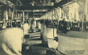Aktiebolaget Karlstads Yllefabrik, Väfsal Aktiebolaget Karlstads Yllefabrik, Väfsal