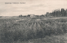 Stensborgs Trädskolor, Karlstad Stensborgs Trädskolor, Karlstad