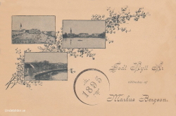 Godt Nytt År Tillönskas af Marus Bergson 1895 Godt Nytt År Tillönskas af Marus Bergson 1895