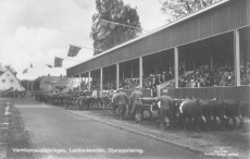 Karlstad, Värmlandsutställningen, Lantbruksmötet, Djuruppvisning