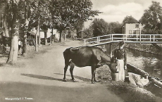 Morgonidyll i Trosa 1935 Morgonidyll i Trosa 1935