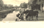 Trosa, Strandparti från Ån 1902 Trosa, Strandparti från Ån 1902