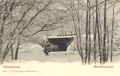 Kristinehamn, Björkforsen 1902 Kristinehamn, Björkforsen 1902