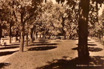 Kristinehamn, Järnvägsparken Kristinehamn, Järnvägsparken