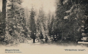 Kristinehamn, Skagersbrunn, Förderfvets Brant 1906 Kristinehamn, Skagersbrunn, Förderfvets Brant 1906