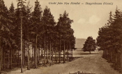Kristinehamn, Utsikt från Nya Hotellet, Skagersbrunn, Värmland Kristinehamn, Utsikt från Nya Hotellet, Skagersbrunn, Värmland