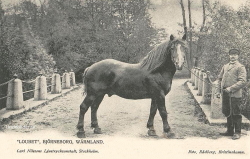 Loubeth, Björneborg, Wärmland Loubeth, Björneborg, Wärmland