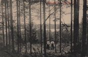 Kristinehamn, Hälsning från Björnkällan 1910 Kristinehamn, Hälsning från Björnkällan 1910
