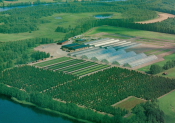 Borlänge, Plantskolan, Amsberg Borlänge, Plantskolan, Amsberg