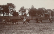 Hallstahammar, Strömsholm, Hästparad 1910 Hallstahammar, Strömsholm, Hästparad 1910