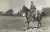 Strömsholm, Ryttmästaren Boltenstern på Krest Strömsholm, Ryttmästaren Boltenstern på Krest