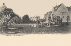 Örebro, Oscarsparken 1901 Örebro, Oscarsparken 1901