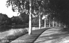 Utskit från Hagaparken, Örebro