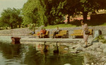 Örebro parkidyll med svarta svanar Örebro parkidyll med svarta svanar
