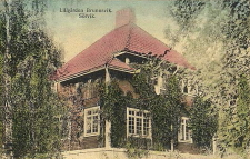 Ludvika, Lillgården Brunnsvik, Sörvik