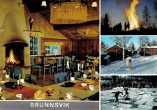 Ludvika, Brunnsvik