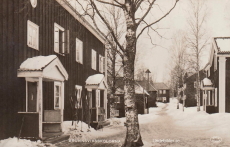 Ludvika, Brunnsviksskolorna