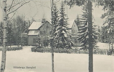 Ludvika, Håksbergs Herrgård Ludvika, Håksbergs Herrgård