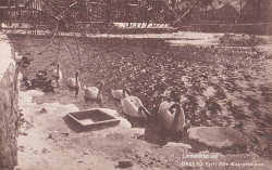 Örebro, Parti från Kvarndammen 1934