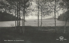 Sjön Råsvalen vid Kalmarslund Sjön Råsvalen vid Kalmarslund