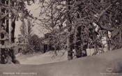 Nora, Vintermotiv från Klacka Lerberg 1954 Nora, Vintermotiv från Klacka Lerberg 1954