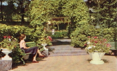 Arvika, Stadshotellets Trädgård Arvika, Stadshotellets Trädgård