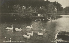 Arvika, Stadsparken, Värmland Arvika, Stadsparken, Värmland