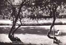 ARVIKA. Stadsparken 1959 ARVIKA. Stadsparken 1959