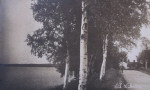 Nora, Gyttorp, Vid Vikersvik 1920 Nora, Gyttorp, Vid Vikersvik 1920