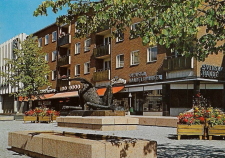 Arvika, Torget, Fågelmannen