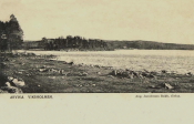 Arvika, Viksholmen 1909 Arvika, Viksholmen 1909