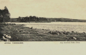 Arvika, Viksholmen 1909