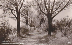 Promenadväg till Viksholmen, Arvika