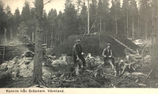 Arvika, Kolmila från Gräsmark, Värmland Arvika, Kolmila från Gräsmark, Värmland