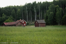 Hus, Uthus, Lada