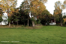 Dom står fortfarande kvar