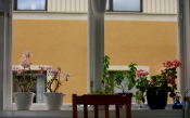 Fönstret mot Polishuset Fönstret mot Polishuset