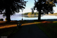 Parkbänken
