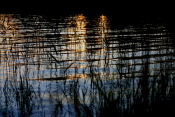 Solsjön Solsjön