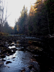 Järleån med lite vatten