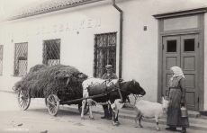 Hedemora, Kolass Hedemora, Kolass