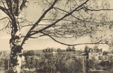 Hedemora Hedemora