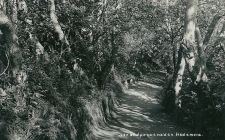 Hedemora Strandpromenaden 1931 Hedemora Strandpromenaden 1931