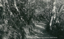 Hedemora Strandpromenaden 1931