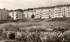 Södertälje Dalparken 1954 Södertälje Dalparken 1954