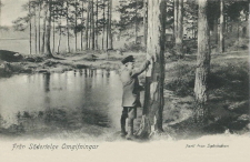 Från Södertelge omgifningar, Parti från Snäckviken Från Södertelge omgifningar, Parti från Snäckviken