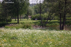 Blomsterängen