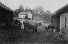 Guldsmedshyttan, Erik Hellstens Hem 1915