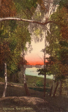 Eskilstuna, Åparti Tunafors Eskilstuna, Åparti Tunafors