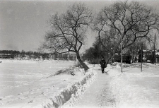 Strandpromenaden